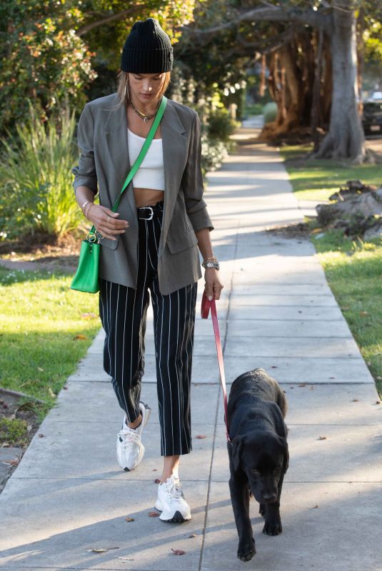 ALESSANDRA AMBRSIO Out with Her Dog in Santa Monica 03/24/2021