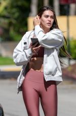 AMELIA HAMLIN Out and About in West Hollywood 03/15/2021