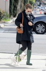 AMY ADAMS Out wtih Her Dogs in Los Angeles 03/10/2021