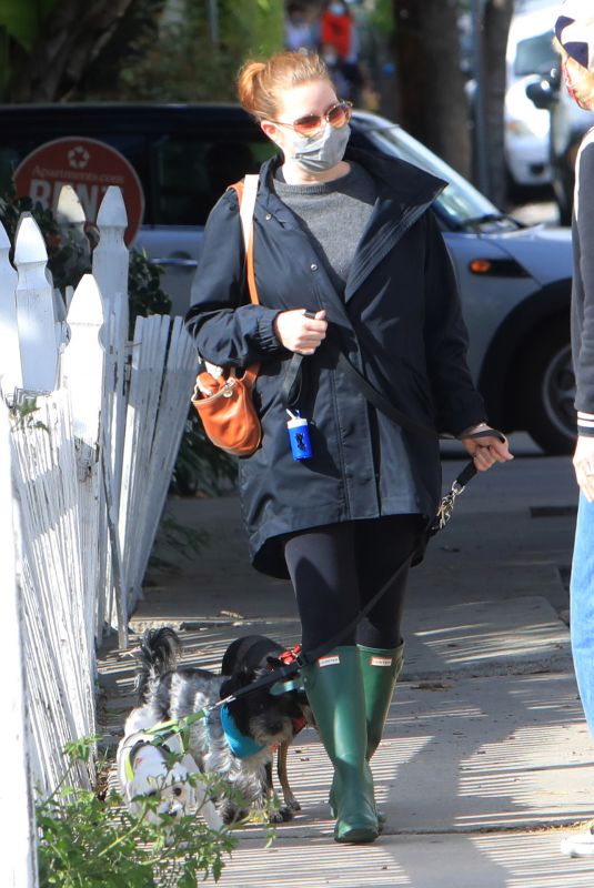 AMY ADAMS Out wtih Her Dogs in Los Angeles 03/10/2021