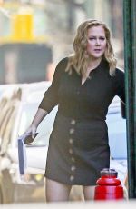 AMY SCHUMER Out and About in New York 03/30/2021