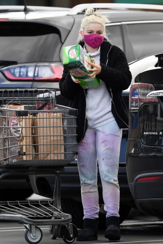 ARIEL WINTER Shopping at Gelson
