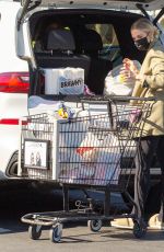 ASHLEE SIMPSON Out Shopping in Encino 03/09/2021