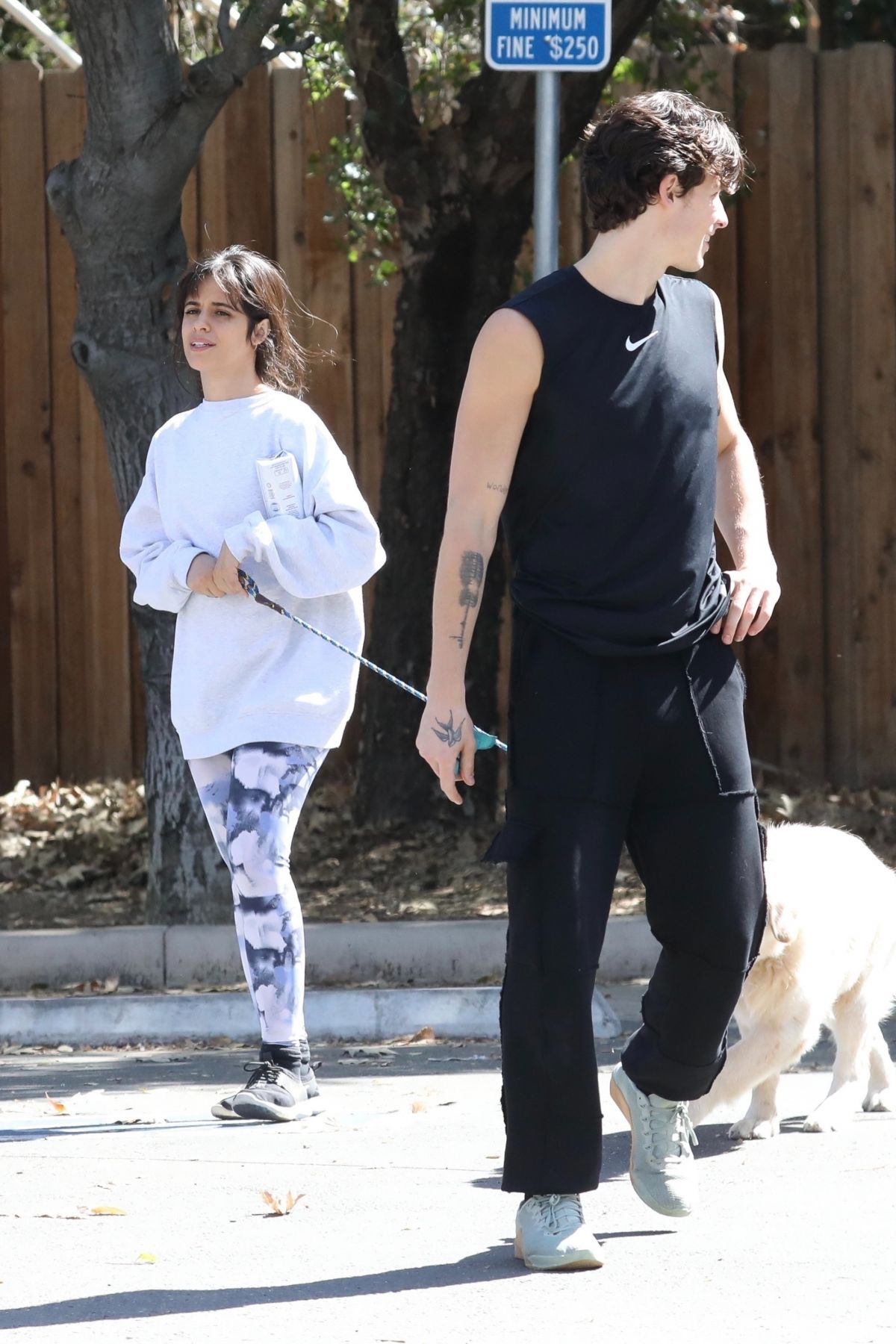 camila-cabello-and-shawn-mendes-out-with-their-dog-in-los-angeles-03-19-2021-1.jpg