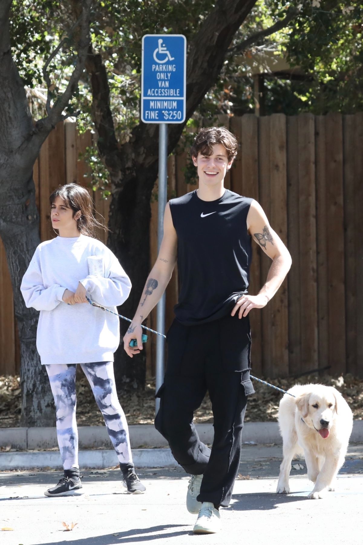 camila-cabello-and-shawn-mendes-out-with-their-dog-in-los-angeles-03-19-2021-6.jpg