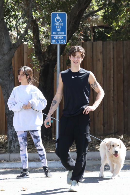 CAMILA CABELLO and Shawn Mendes Out with Their Dog in Los Angeles 03/19/2021