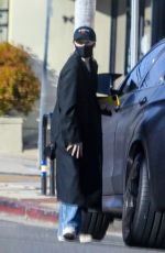 CHLOE MORETZ Out Shopping in Pacific Palisades 03/19/2021