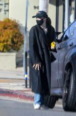 CHLOE MORETZ Out Shopping in Pacific Palisades 03/19/2021