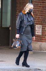 CHLOE SEVIGNY Out in New York 03/08/2021