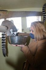 DANIELLA WESTBROOK at Borth Wild Animal Kingdom Wildlife Park in Wales 03/01/2021
