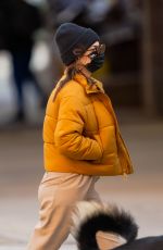EMILY RATAJKOWSKI and Sebastian Bear McClard Out with Their Dog in New York 03/14/2021
