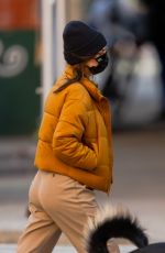 EMILY RATAJKOWSKI and Sebastian Bear McClard Out with Their Dog in New York 03/14/2021