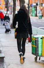 FAMKE JANSSEN Out in New York 03/02/2021