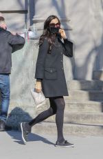 FAMKE JANSSEN Out in New York 03/03/2021