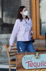 GEENA DAVIS Out and About in Los Angeles 03/22/2021