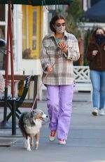 HELENA CHRISTENSEN Out with her Dog in New York 03/03/2021