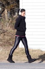 HILARIA BALDWIN Out in New York 03/04/2021