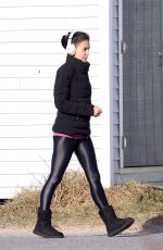 HILARIA BALDWIN Out in New York 03/04/2021