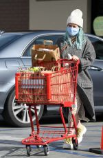 HILARY DUFF Shopping at Trader Joe