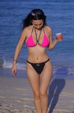 IVA KOVACEVIC in Bikini at a Beach in Miami 03/05/2021
