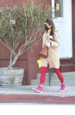 JORDANA BREWSTER at Brentwood Country Mart 03/24/2021