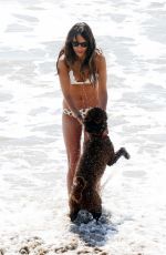 JORDANA BREWSTER in Bikini at a Beach in Santa Monica 03/20/2021