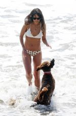 JORDANA BREWSTER in Bikini at a Beach in Santa Monica 03/20/2021