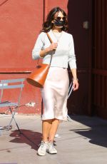 JORDANA BREWSTER Out and About in Brentwood 03/01/2021