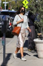 JORDANA BREWSTER Out and About in Brentwood 03/01/2021