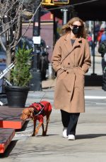 KATE BOCK Out with Her Dog Vestry in New York 03/15/2021