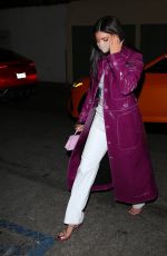 KYLIE JENNER Out for Dinner at Craig