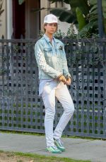 LADY VICTORIA HERVEY Out with Her Dog in Los Angeles 03/01/2021