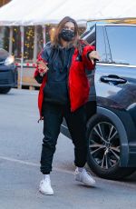 Pregnant EMILY RATAJKOWSKI Out in New York 03/04/2021