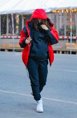 Pregnant EMILY RATAJKOWSKI Out in New York 03/04/2021