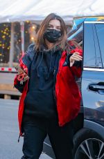 Pregnant EMILY RATAJKOWSKI Out in New York 03/04/2021
