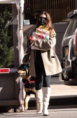 Pregnant EMILY RATAJKOWSKI Out with her Dog in New York 03/03/2021