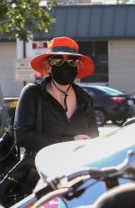 REBEL WILSON Shopping at Gelson