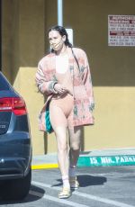 RUMER WILLIS Leaves Dry Cleaners in West Hollywood 03/22/2021