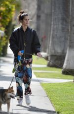 SARA SAMPAIO Out with Her Dog in Los Angeles 03/11/2021