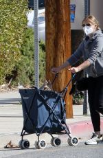 SARAH MICHELLE GELLAR at a Farmers Market in Brentwood 03/21/2021