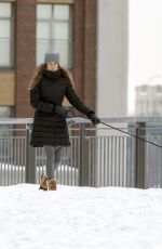 SHAILENE WOODLEY Out with Her Dog in Montreal 02/28/2021