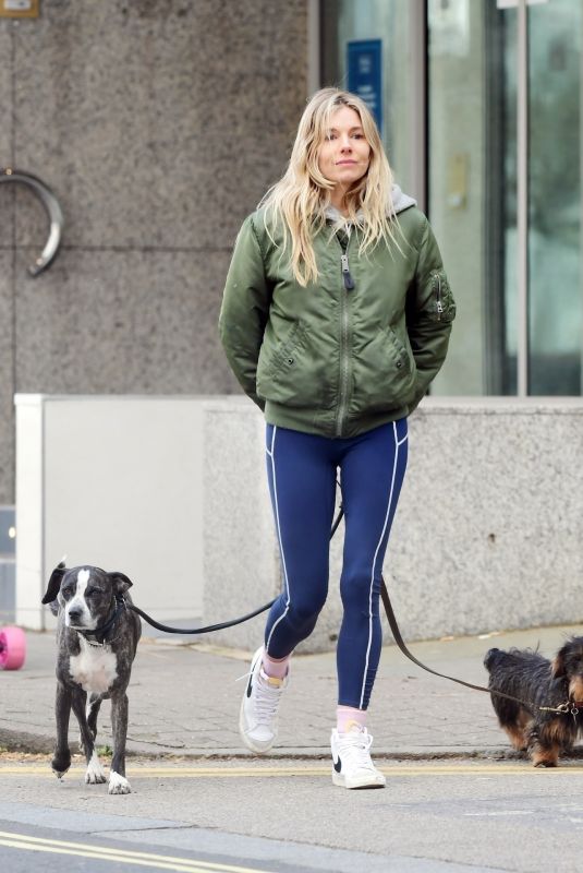 SIENNA MILLER Out with Her Dogs in London 03/14/2021