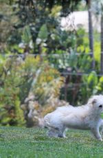 ALEXIS REN Playing with Her Dog at a Park in Los Angeles 04/27/2021