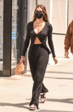 AMELIA HAMLIN Out Shopping in Beverly Hills 04/27/2021