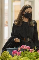 ANGELINA JOLIE Out for Dinner in West Hollywood 04/22/2021
