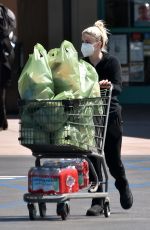 ARIEL WINTER Shopping at Gelson
