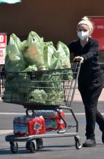 ARIEL WINTER Shopping at Gelson