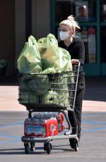 ARIEL WINTER Shopping at Gelson