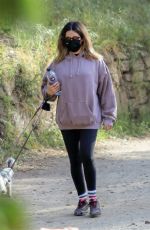ASHLEY TISDALE and Christopher French Out with Their Dogs in Los Feliz 04/07/2021