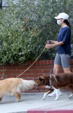 AUBREY PLAZA Out with Her Dogs in Los Feliz 04/03/2021